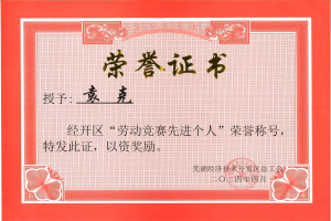 勞動(dòng)競(jìng)賽先進(jìn)個(gè)人